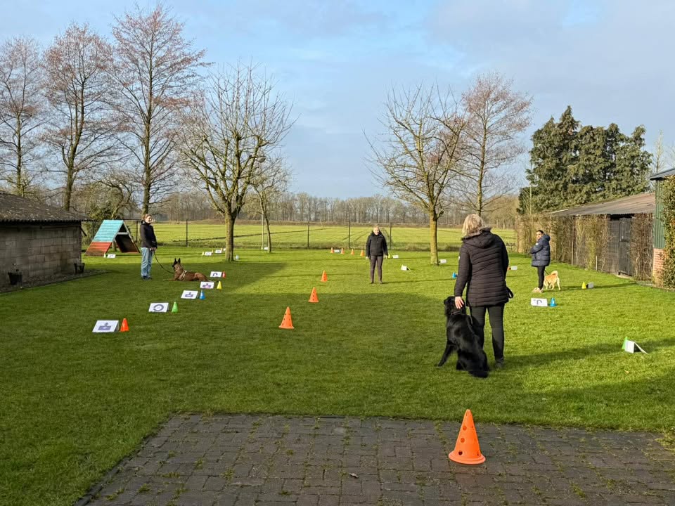 637626541_1416283566906061_8205932822370974539_n